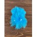 furry blue and white caterpillar