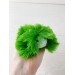 Amigurumi green caterpillar