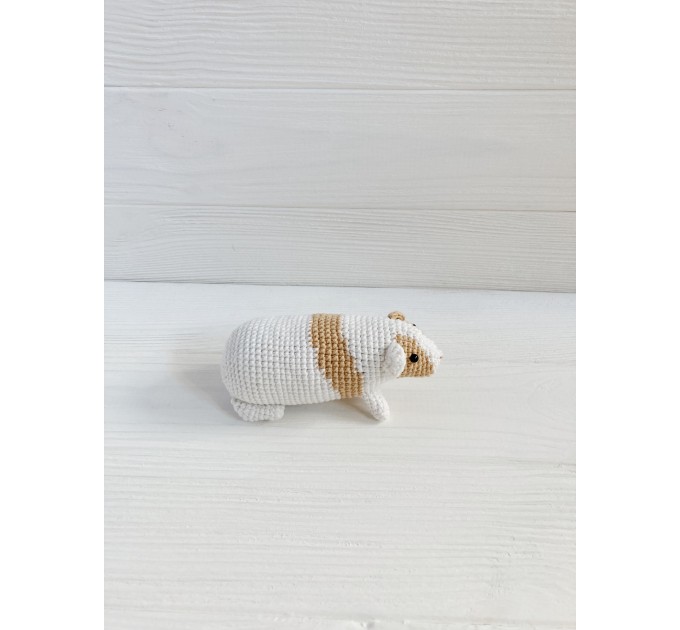 Stuffed guinea pig