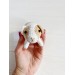 Stuffed guinea pig