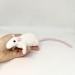 Amigurumi rat white