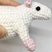 personalized white rat