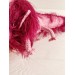 Stuffed animal pink axolotl