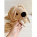 stuffed walrus toy