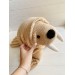 walrus plush toy