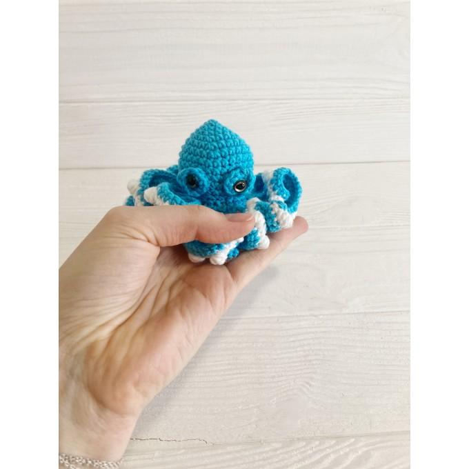 Small octopus 