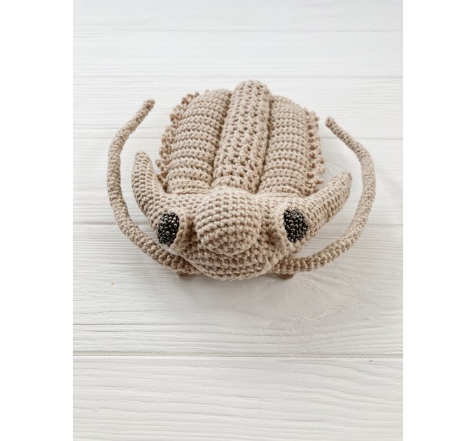 Trilobite stuffed toy