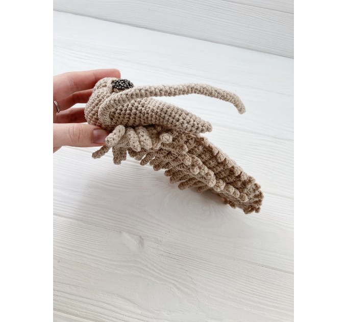 Trilobite stuffed toy