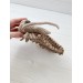 plush trilobite beige