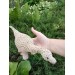 Brachiosaurus beige toy