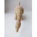 Brachiosaurus beige toy