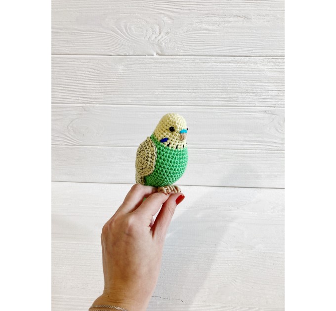 Stuffed budgie parrot