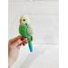 personalized budgie toy