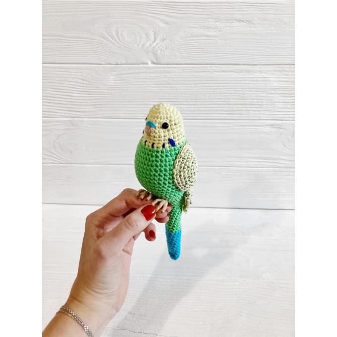 green budgie toy