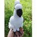 white big cockatoo parrot