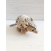 Stuffed armadillo