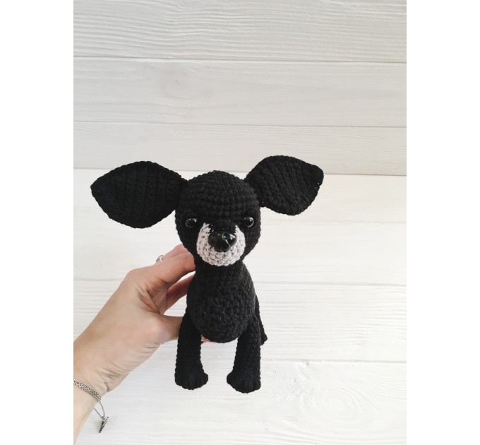 Plush black Chihuahua