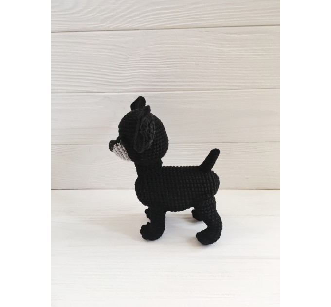 Plush black Chihuahua