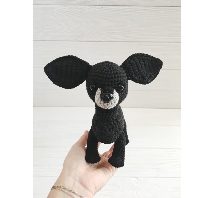 Plush black Chihuahua