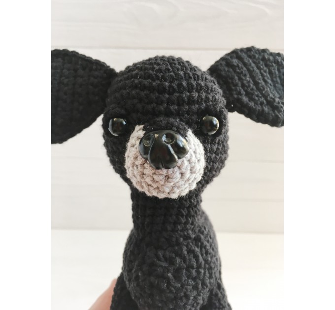 Plush black Chihuahua