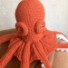 orange large octopus eyes