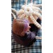 Giant stuffed octopus beige