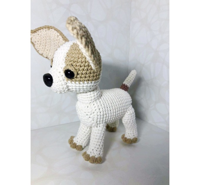 Plush white Chihuahua