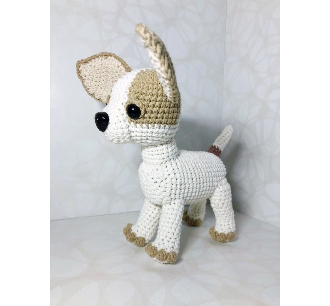 Plush white Chihuahua