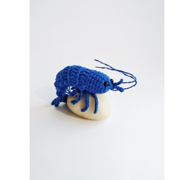 Shrimp blue toy