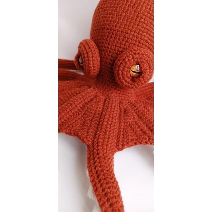 orange octopus eyes