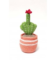 Cactus with middle finger