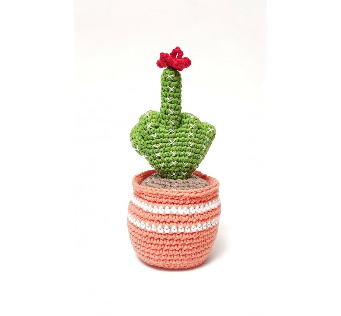 Cactus with middle finger