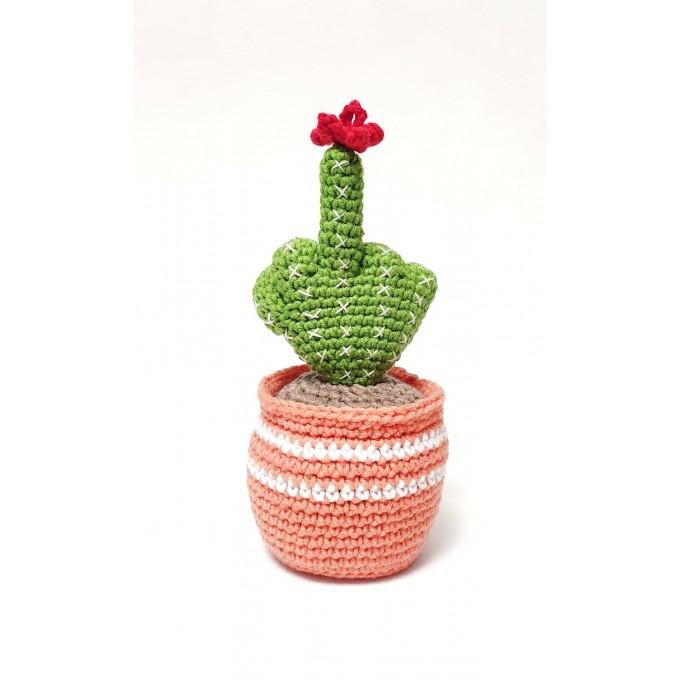 cactus with middle finger