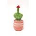 cactus with middle finger