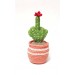 cactus with middle finger