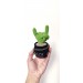 Cactus with rock fingers
