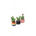 cute plants in pots