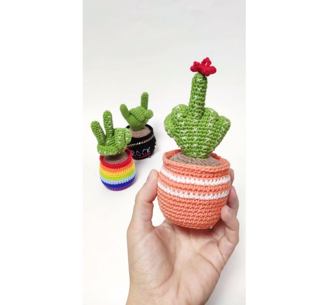 Cactus with middle finger