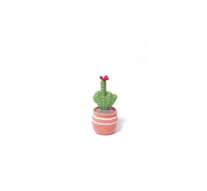 Cactus with middle finger