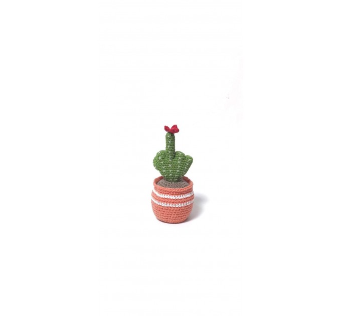Cactus with middle finger
