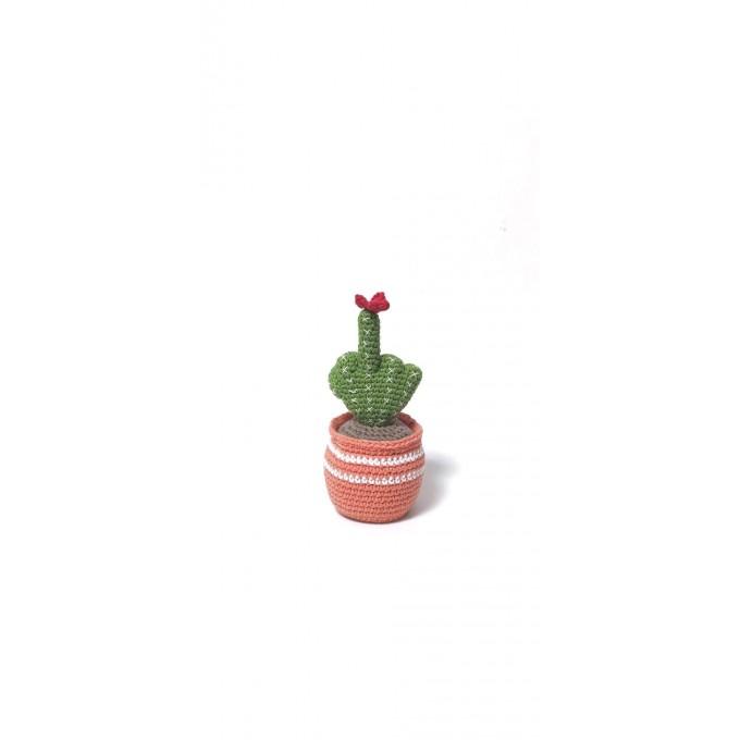 fun cactus gift