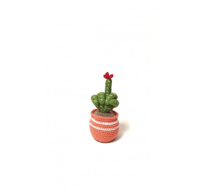 Cactus with middle finger