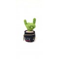 Cactus with rock fingers