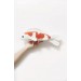 orange koi fish stuffed animal