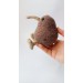 stuffed kiwi toy