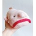 Stuffed drop fish