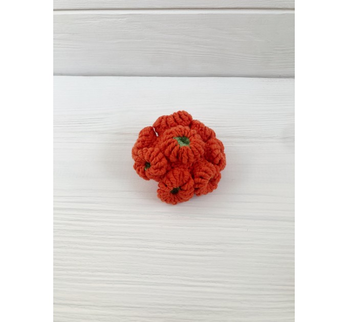 Coral reef decor