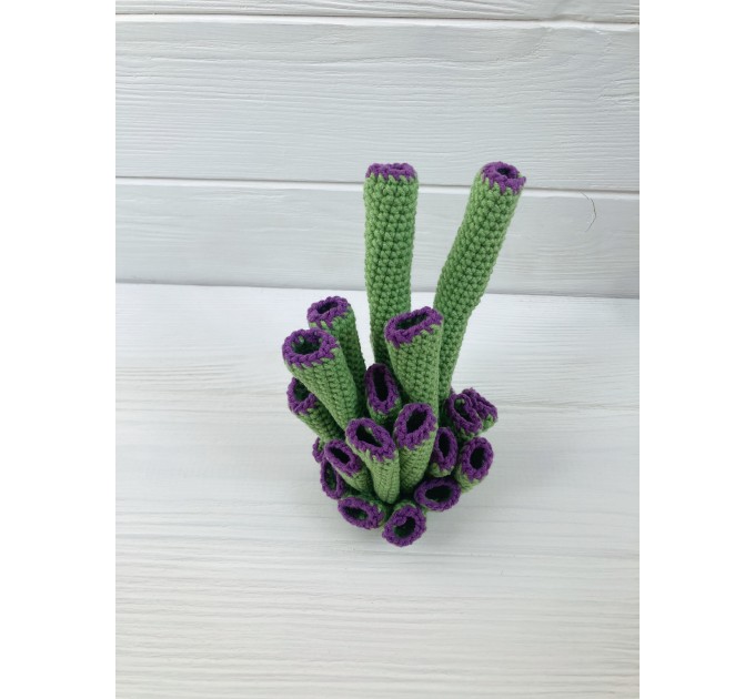 Coral reef decor