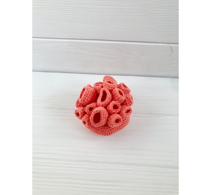 Coral reef decor