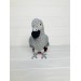 Stuffed African grey parrot 
